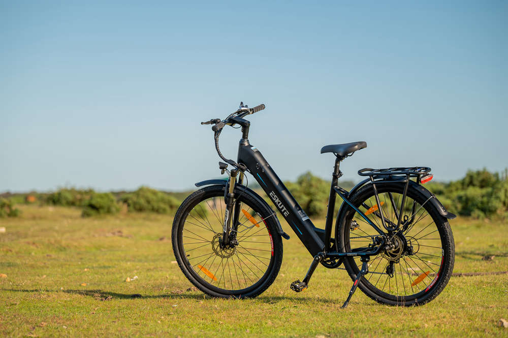 E-Bike mit flachem Lenker auf der Wiese