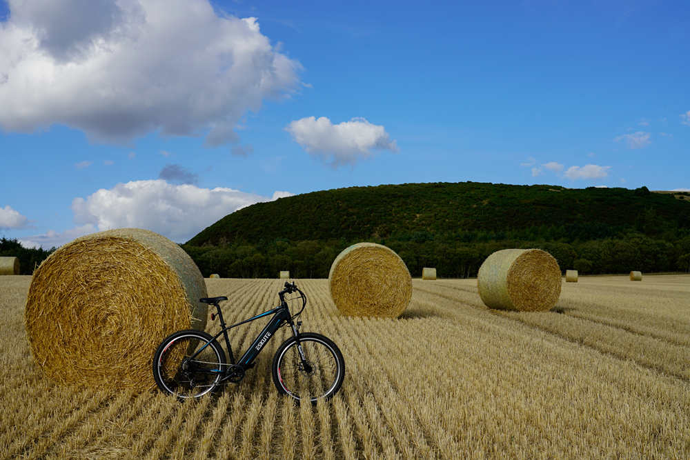 ein im Gras geparktes Fahrrad