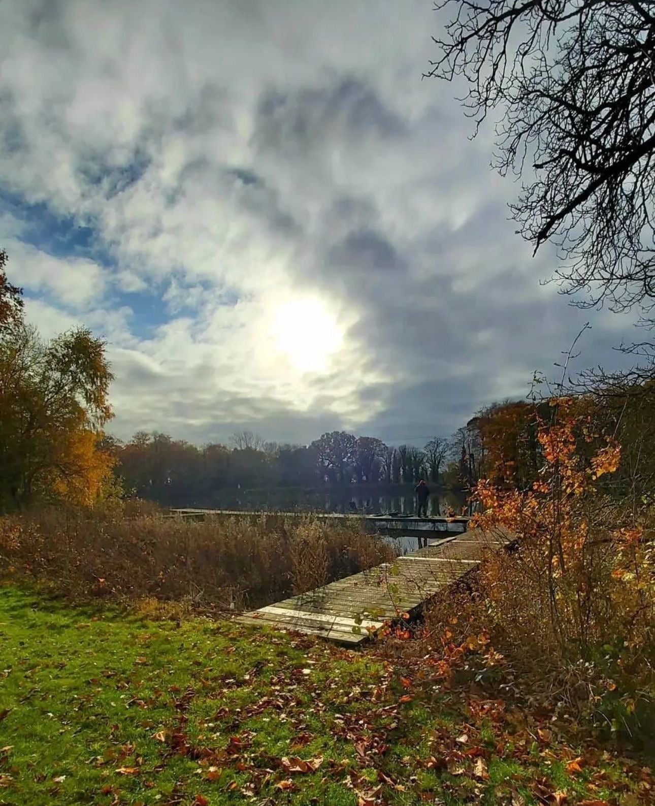 Herfst karper vissen schilderachtig