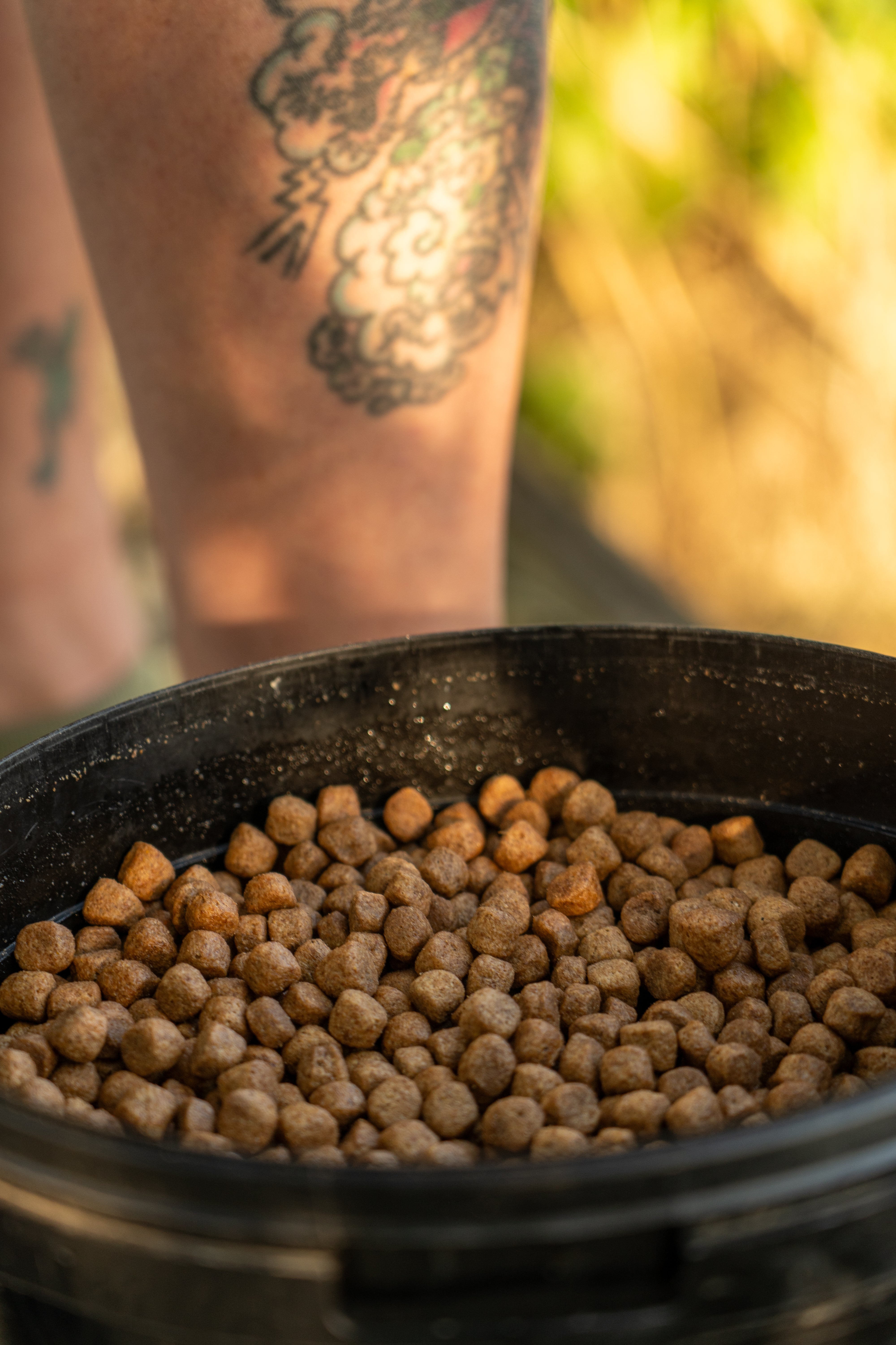 floating dog biscuit carp bait