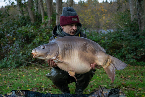 Steve Hill Autumn Carp