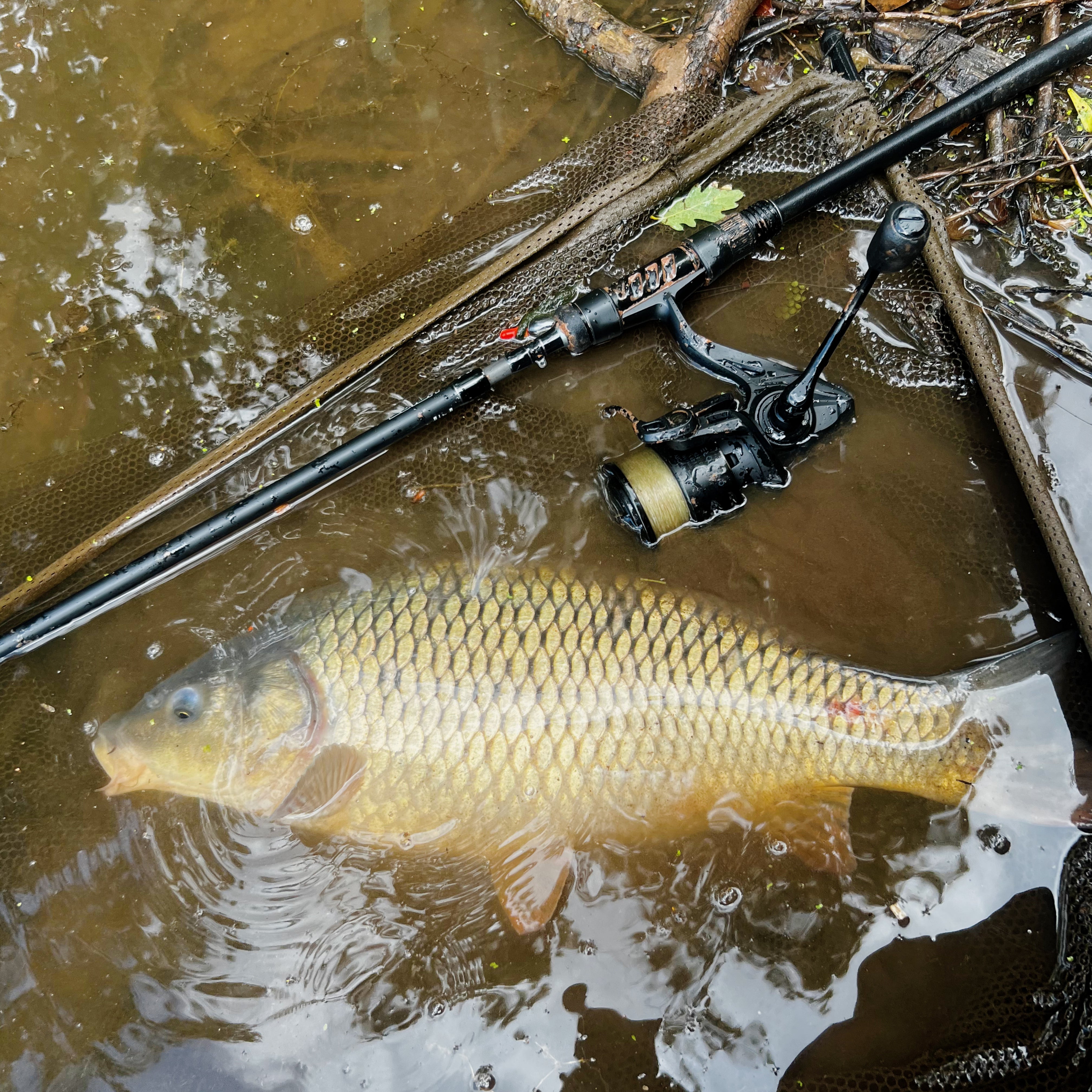 Redmire carp on float tackle