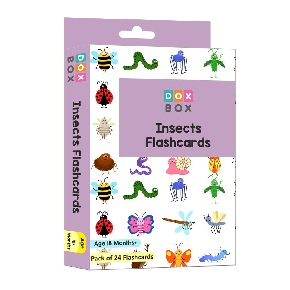 Insect flash cards for kids (pack of 24)