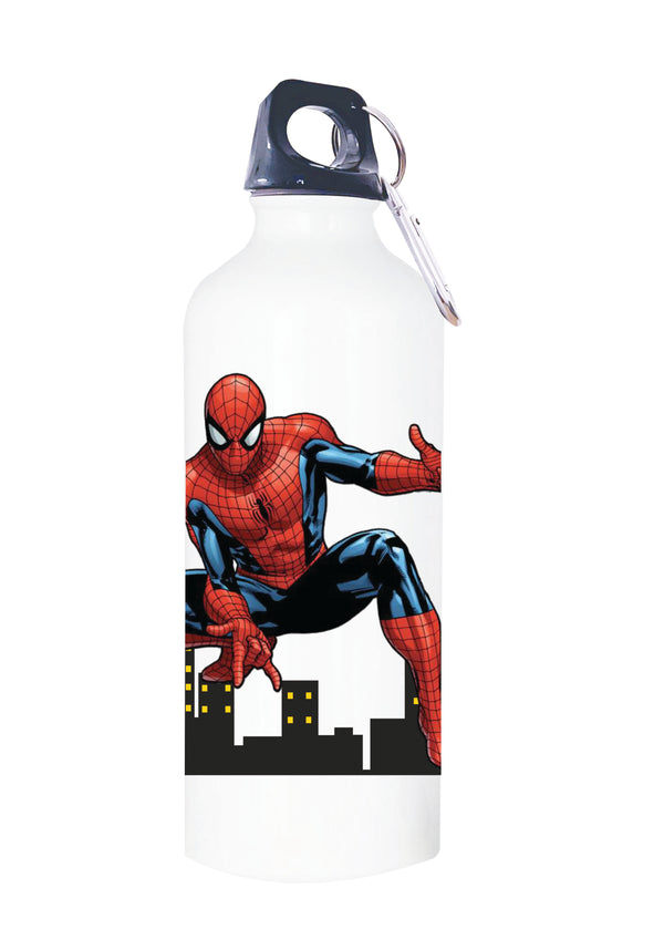 Harry potter water bottle -  DK