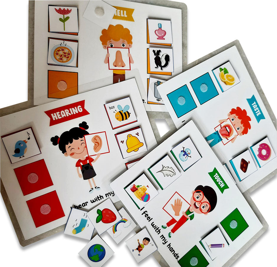 Five senses sorting activity games for kids