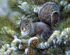 Squirrels Eat Fruit PIX-126