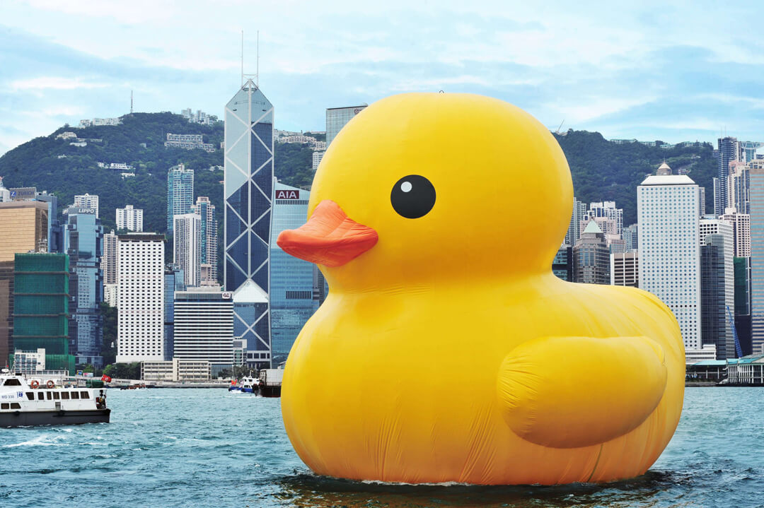 Rubber Duck, Hong Kong, 2007