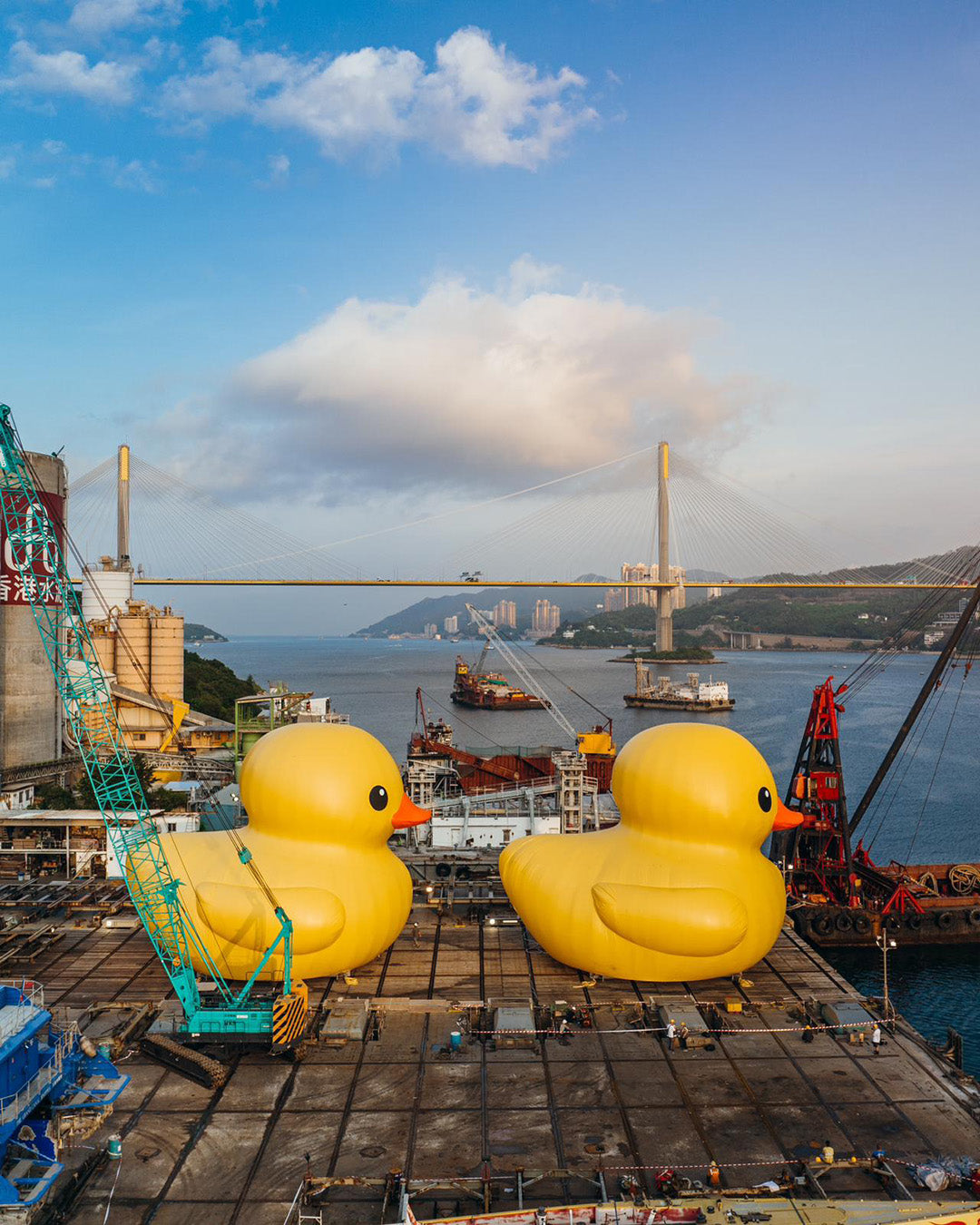 The Rubber Duck Knows No Frontiers' - The New York Times