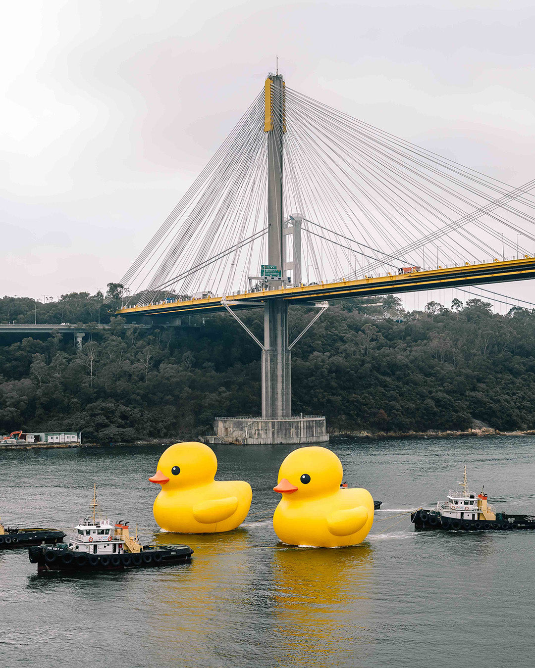 A Decade Later, The Giant Inflatable Rubber Duck Graces the City Once