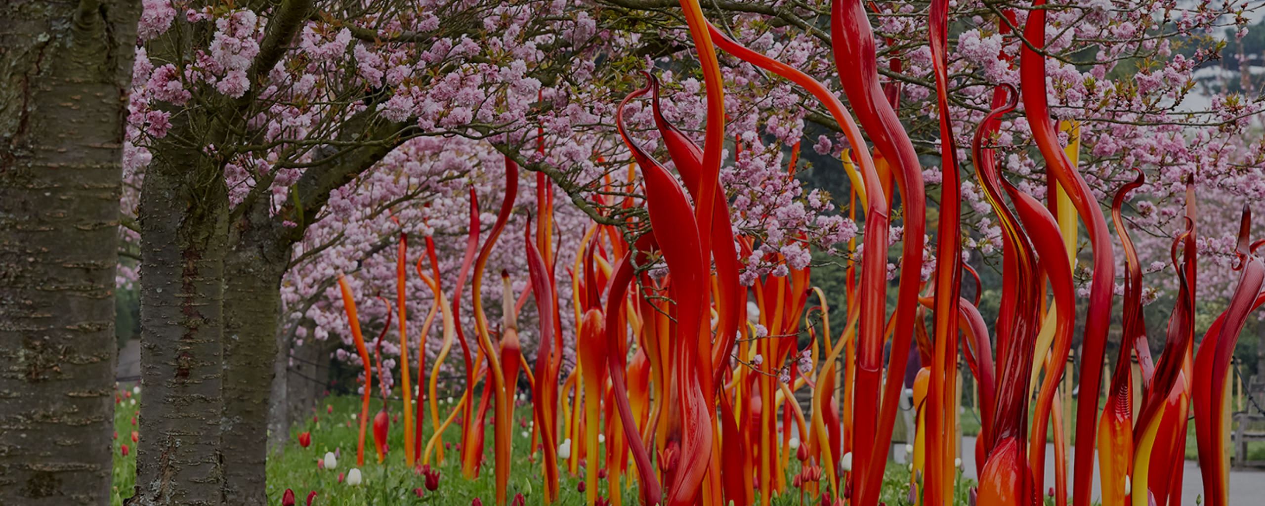 CHIHULY: Whitestone KARUIZAWA 2021