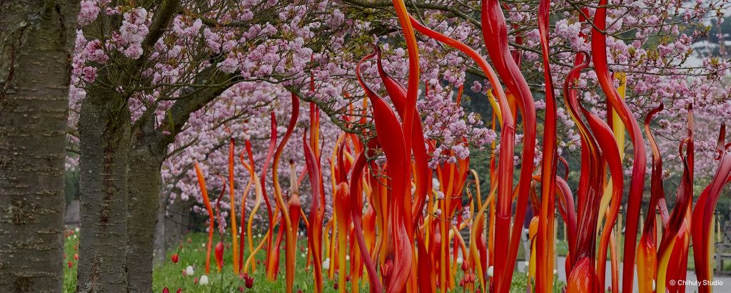 CHIHULY: Whitestone Tokyo 2021