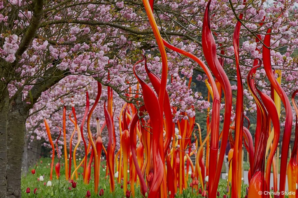 CHIHULY: Whitestone Tokyo 2021