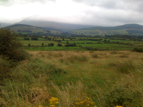 Ireland Landscape