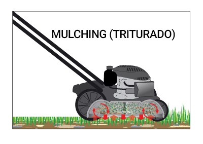 Mulching triturado césped