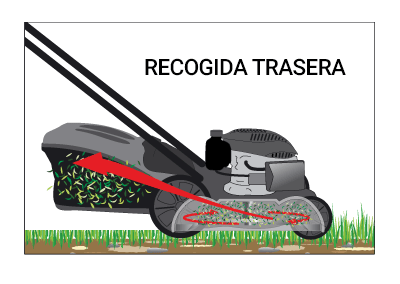 🥇 Cortacésped autopropulsado MEJOR CALIDAD/PRECIO