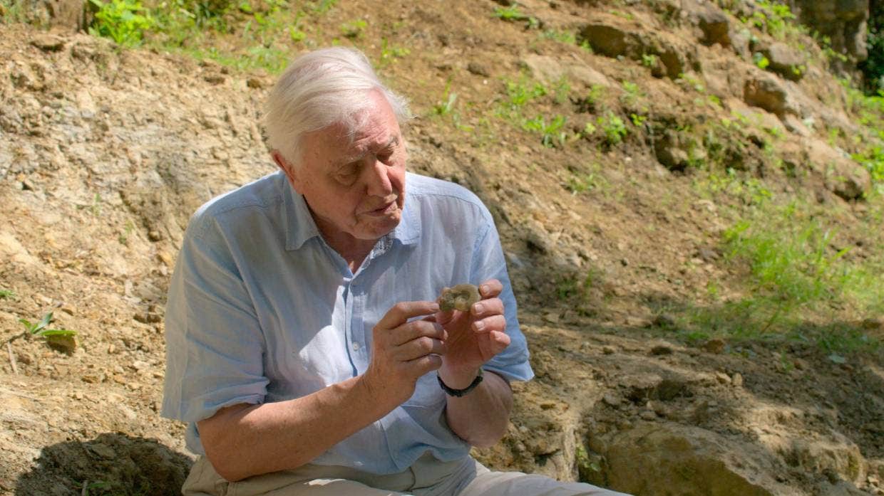 Sir David Attenborough in Life on this Planet.