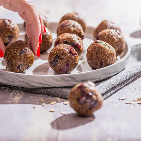 lactation protein bites breastfeeding snack