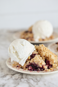 blueberry lactation crumble bar