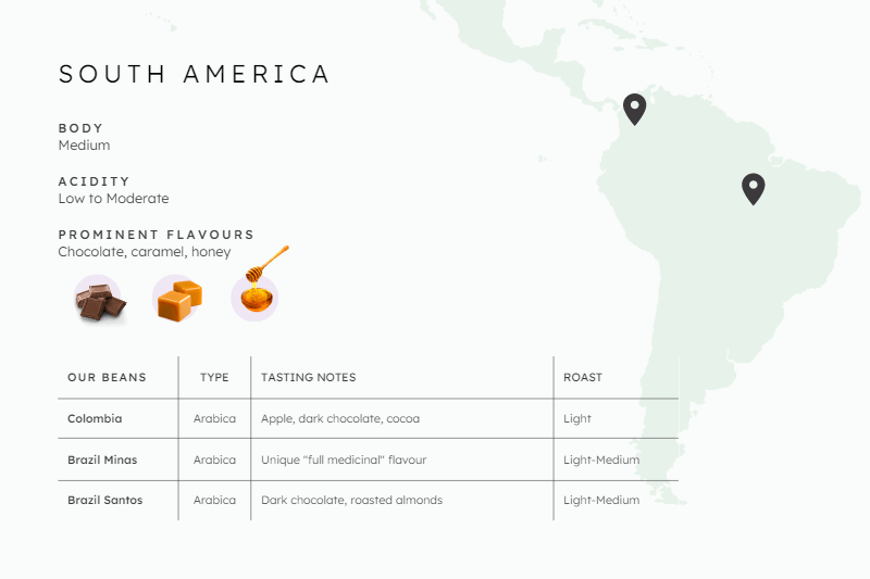 South American coffee region characteristics. Brazilian coffee accounts for approximately 40% of the world's coffee.