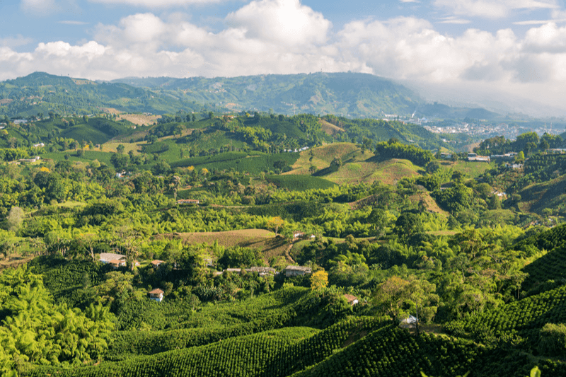 Aerial view of coffee farms near Manizales, Colombia