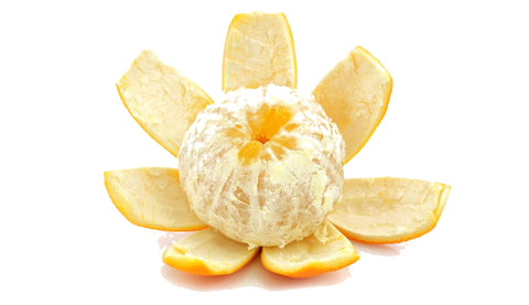 Thick Orange Pith wrapped around a mandarin orange