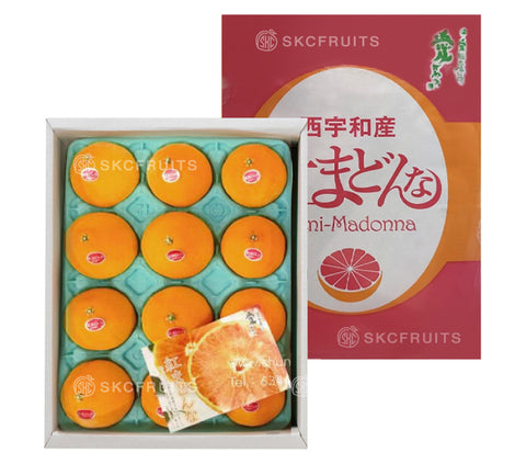 Lunar New Year Japanese Premium Orange Beni Madonna