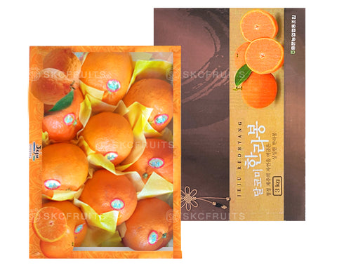 Red Hyang Jeju Orange CNY SG Mandarin Orange