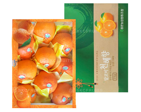 Korea Orange SG Cheon Hye Hyang Mandarin Orange