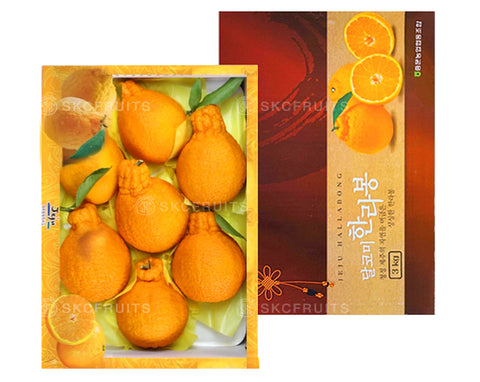 Jeju Orange Hallabong Chinese New Year Oranges