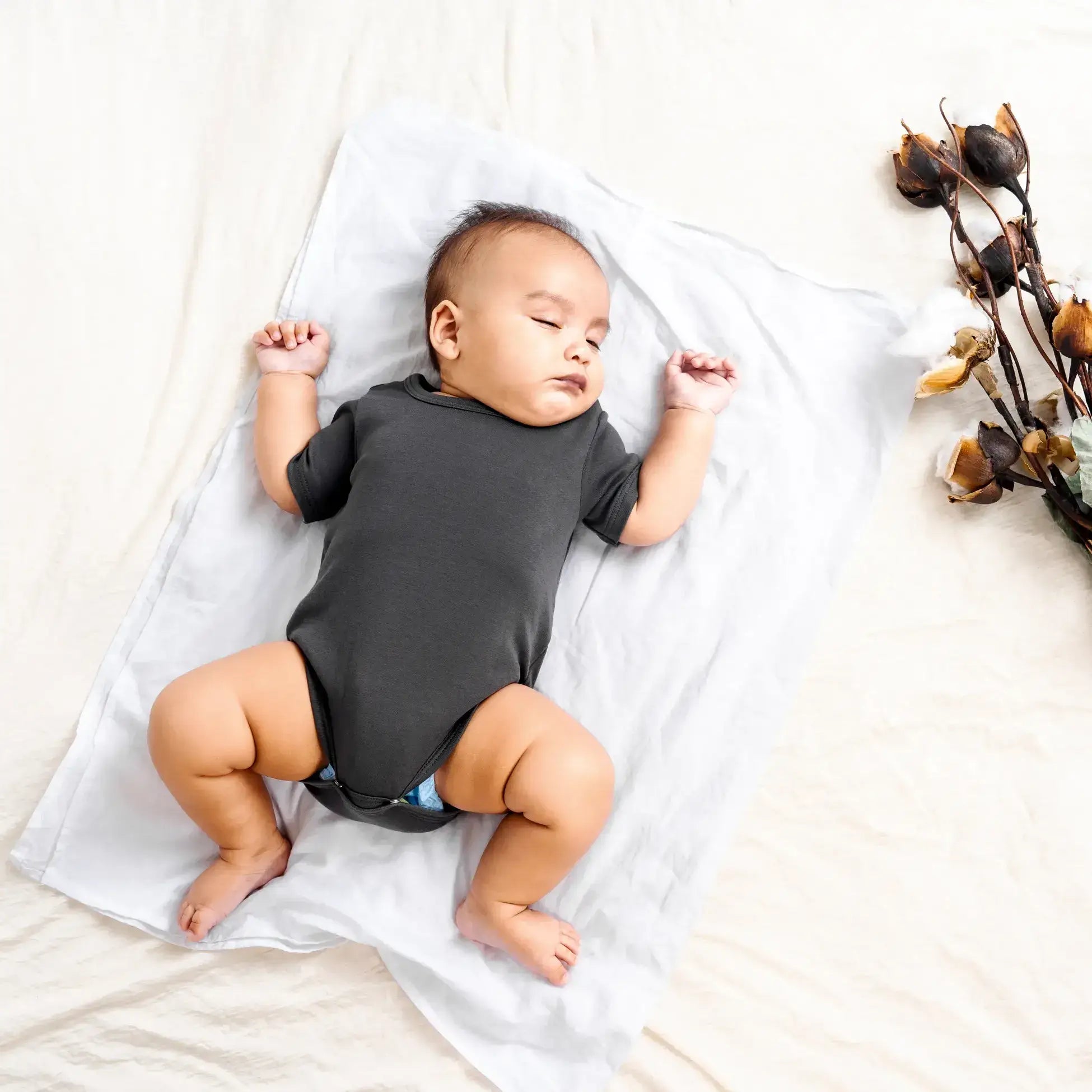babys-pima-cotton-short-sleeve-bodysuit-product-page.webp__PID:fb5961e0-ddfe-44e6-9fde-182cbfb18bf2