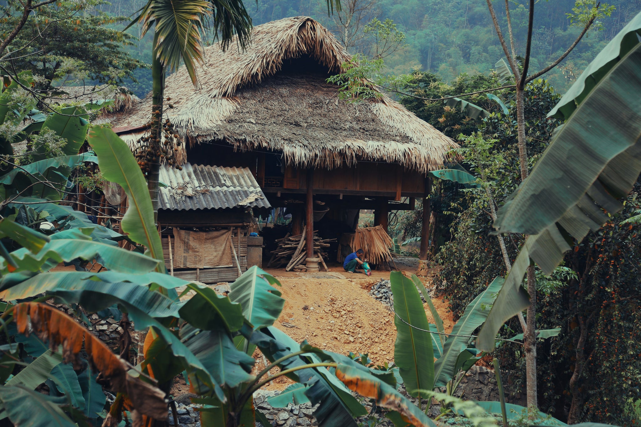 indigenous-community-of-the-Amazon.webp__PID:4483ef5f-630d-4848-97bd-87d70819f3a1