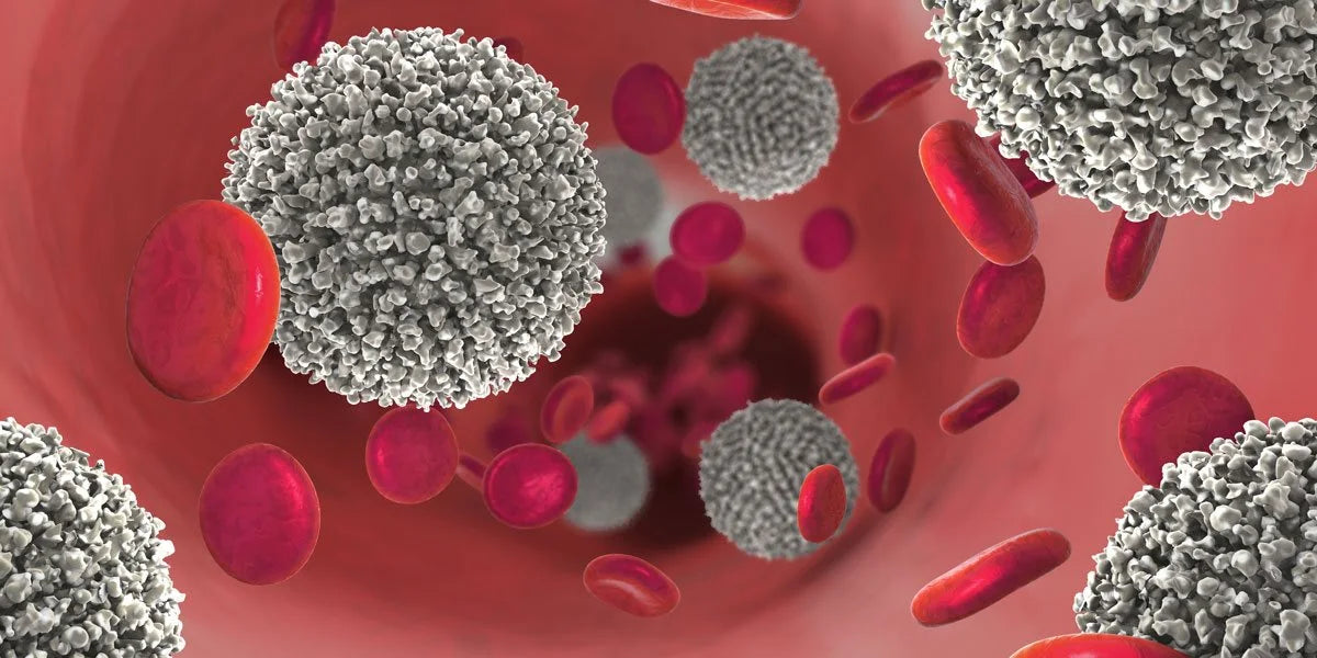 microplastics_in_bloodstream.webp__PID:9f559f13-d6ba-4174-a6ca-a90ed6c55c02