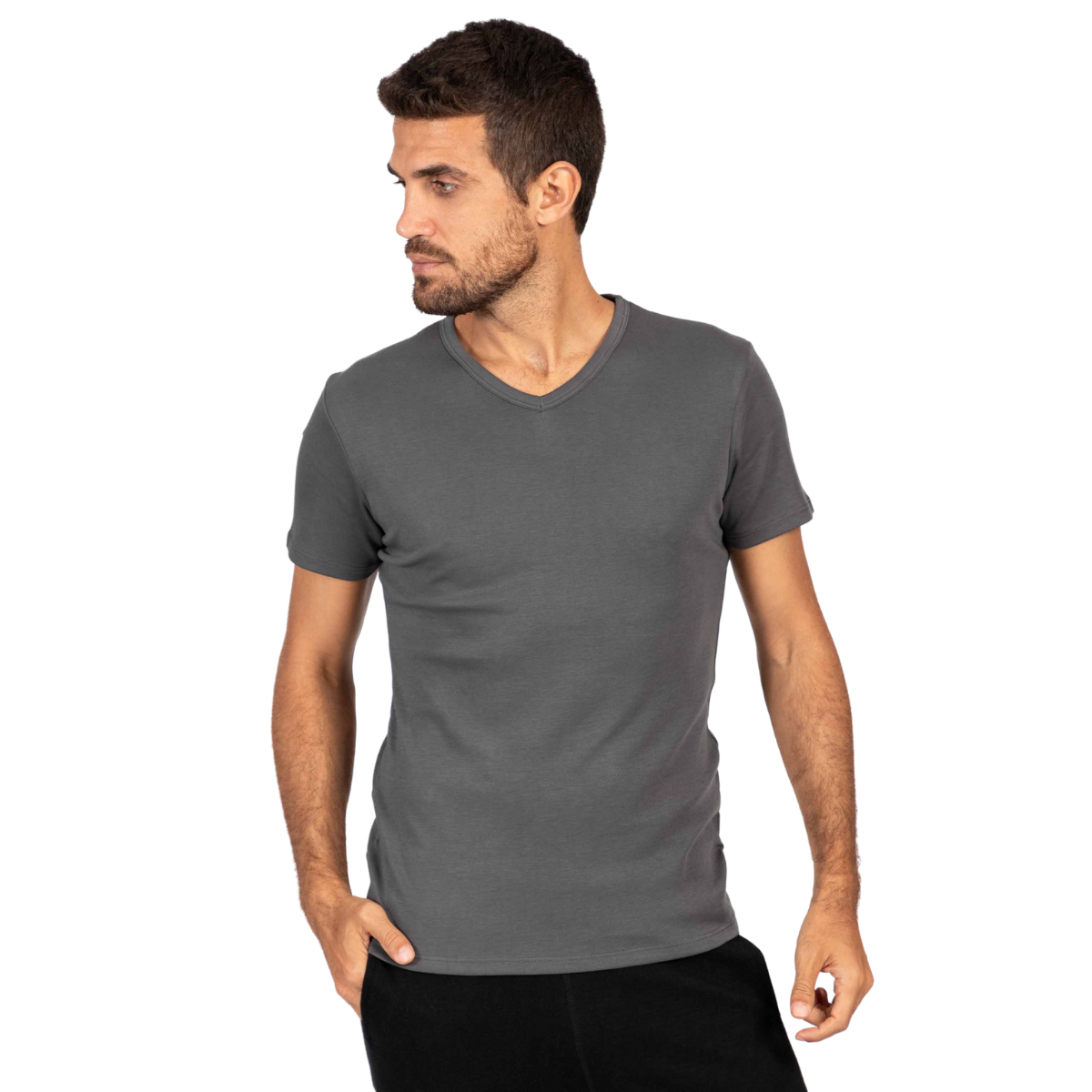 men's organic cotton v-neck t-shirt 