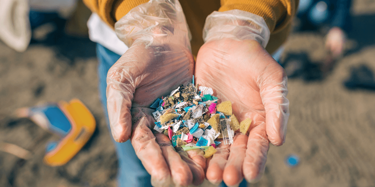 microplastic pollution in the ocean affects human organs and blood
