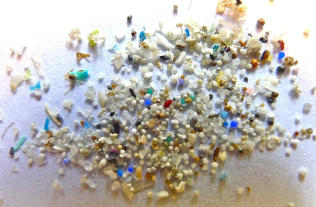 PET plastic bottles release microplastics into our body