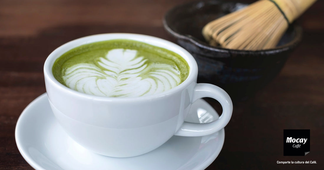 Matcha Latte: el té de moda – Mocay