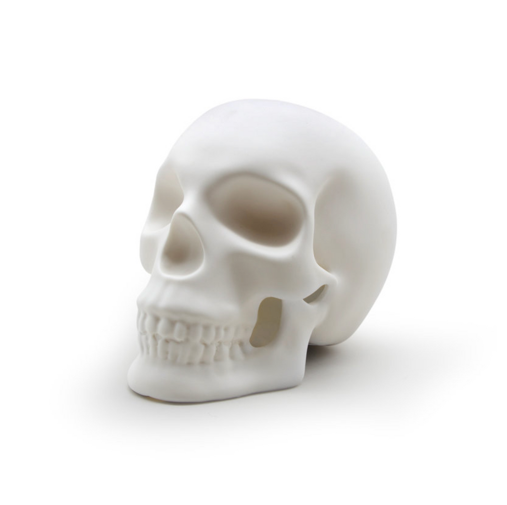 Skull-A-Day: 313. Etch-A-Skull