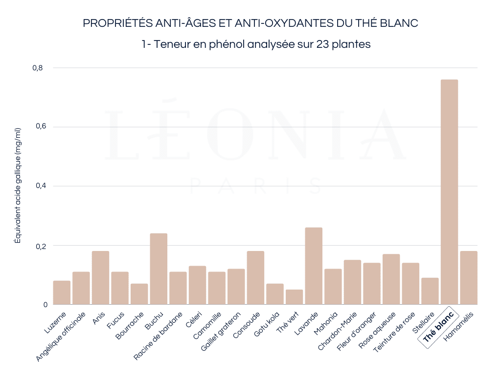 Thé blanc : Analyse de ses propriétés et vertus santé