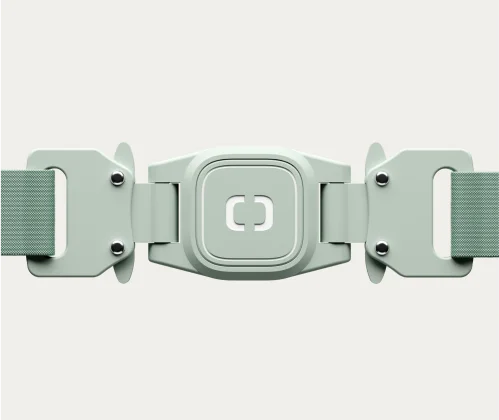 Chamonix Collar & Tag