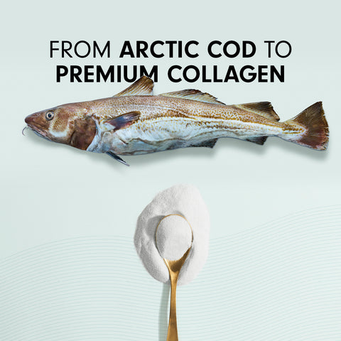 Fra torsk til premium collagenpulver