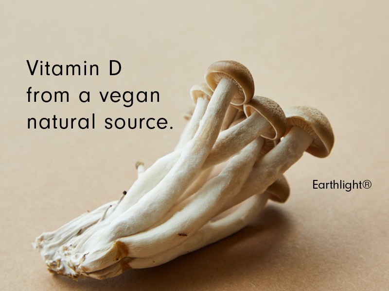 D vitamin source