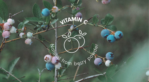 Vilde svenske blåbær - en kilde til antioxidanter og vitamin C