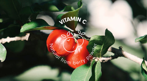 Berry acerola - une source de vitamine C