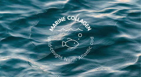 MSC-certificeret marine collagen fra torsk