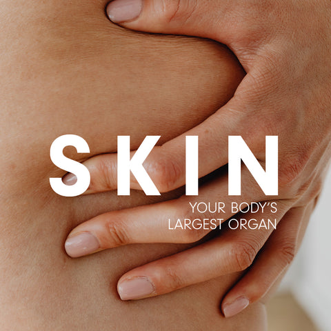 Your skin is the body's largest organ