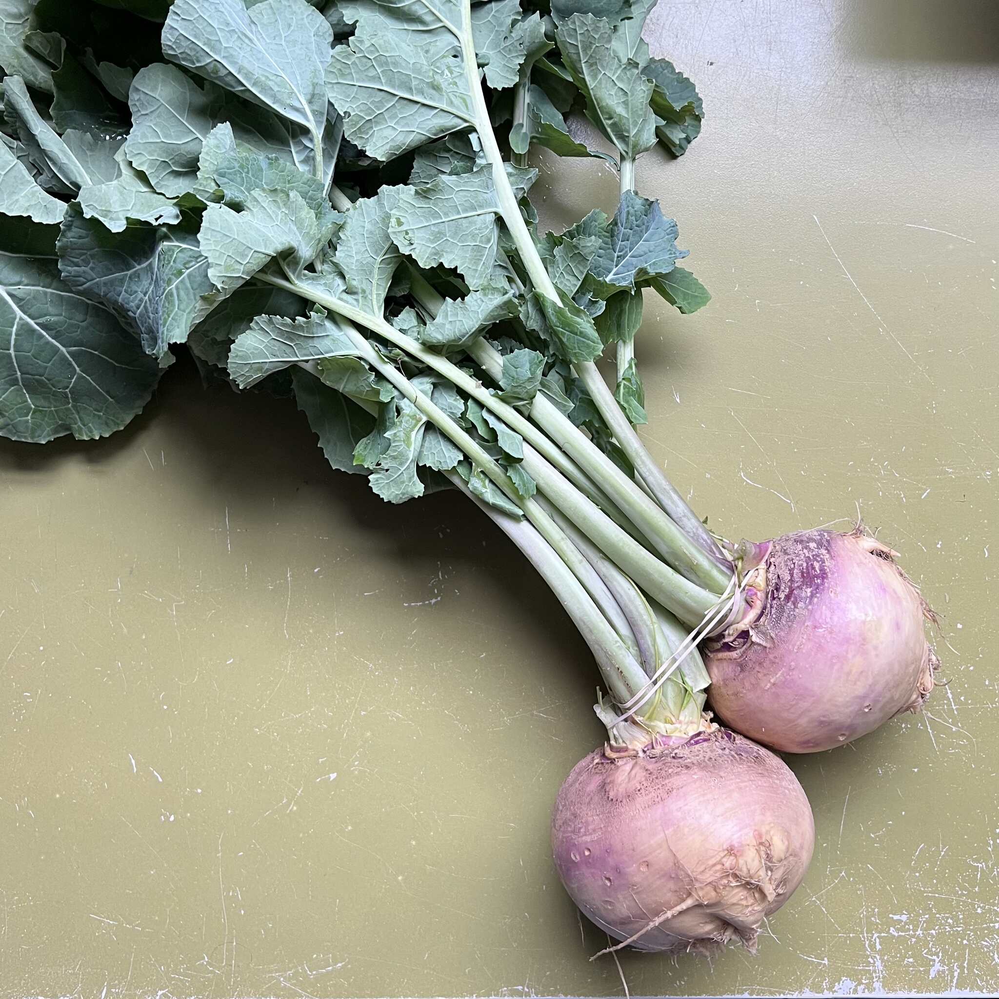 Rutabaga [per], Rooting Down Farms
