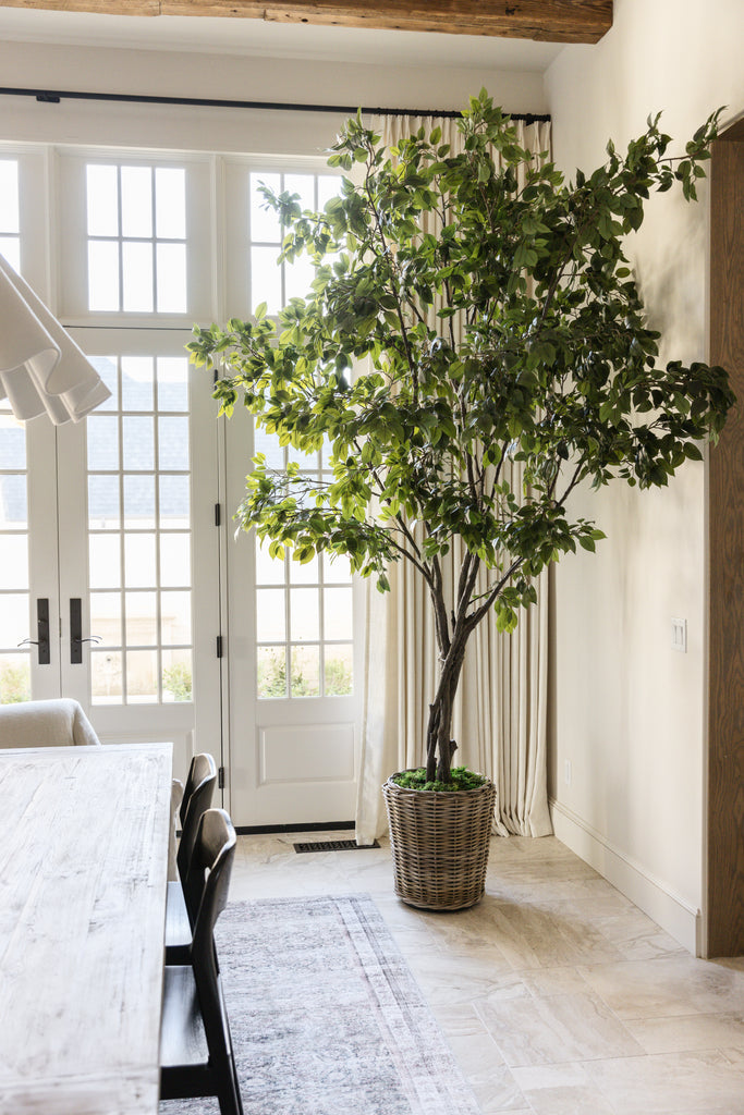 Grand Ficus Tree from the Black Oak Collection by Heritage House