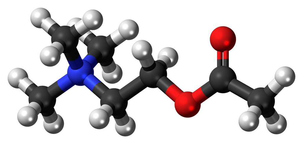 acetylcholine