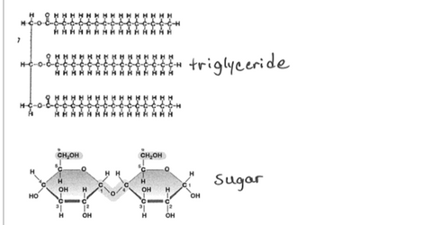 molecular image of glucose and fats showing the differences and how complex fats are