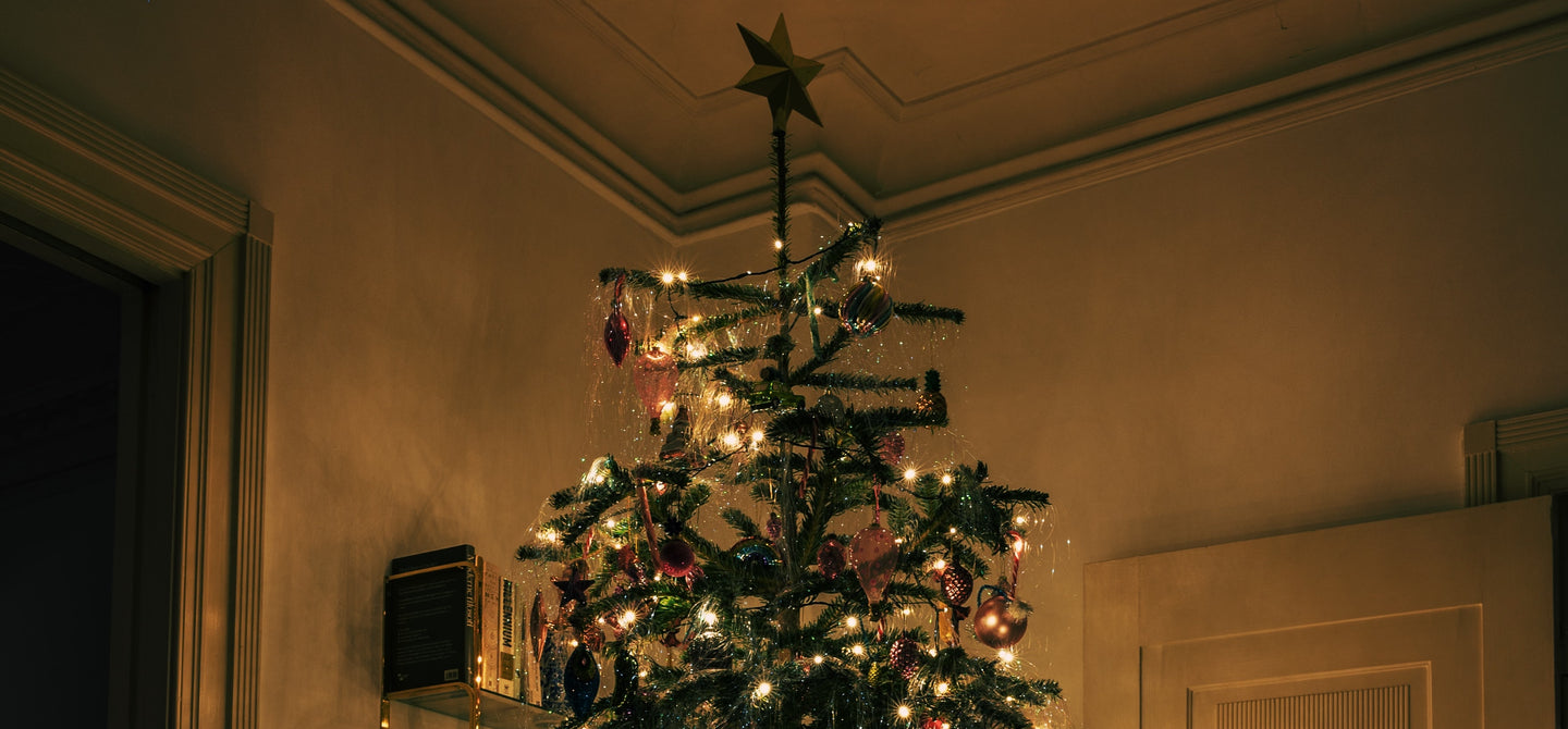 Gezondheid Uil elke dag Dit zijn de gezondheidsvoordelen van een echte kerstboom in huis | Olcay  Gulsen Beauty